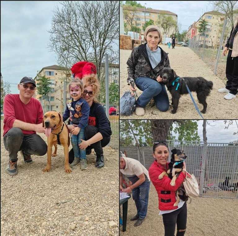sursa foto: Facebook Primăria Municipiului Timisoara