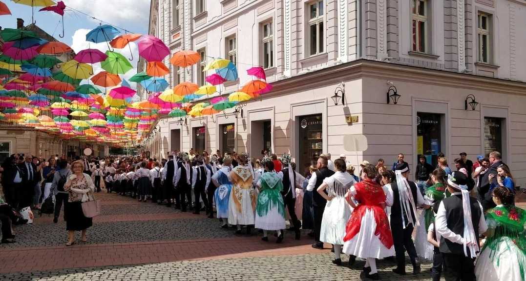 sursa foto: Facebook Primăria Municipiului Timișoara