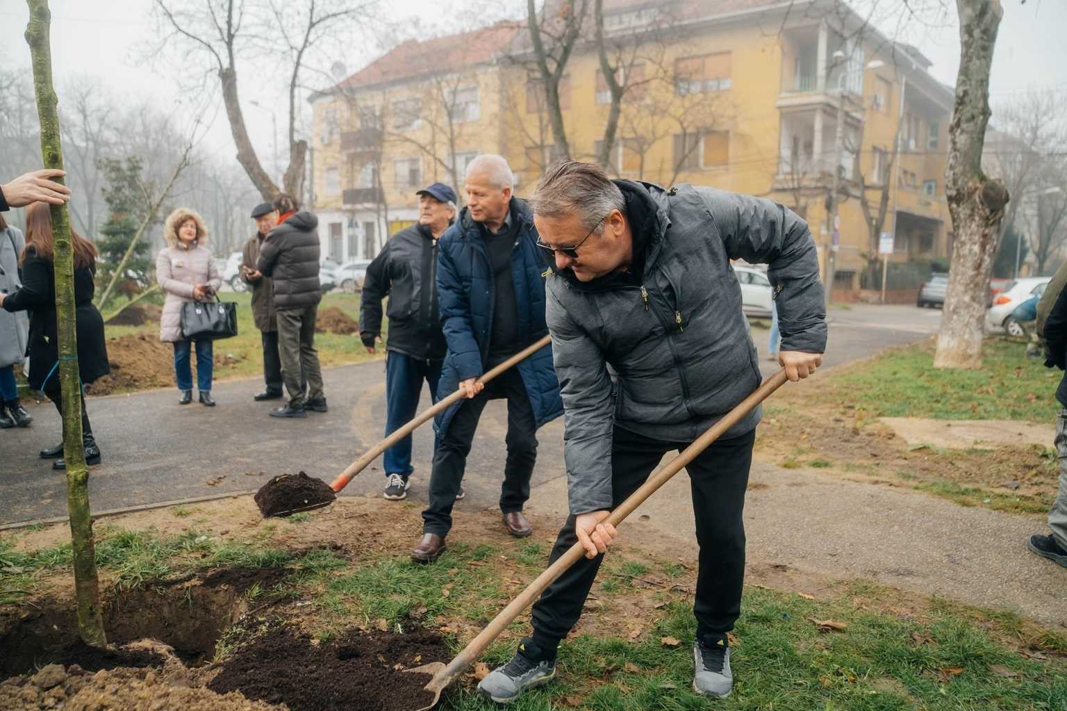 sursa foto: Facebook Primăria Municipiului Timișoara
